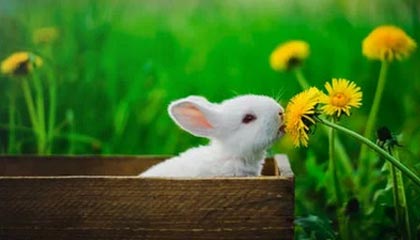 爱游戏登录入口-博卡中场传控缺乏前插配合，博卡中场传控缺乏前插配合怎么解决