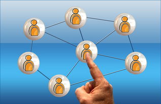 爱游戏中国官方登录入口网站-高校电竞联赛冠军诞生 战术与团队缺一不可，高校电竞联盟挑战赛全国总决赛